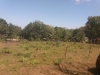Foto 1 - Se vende terreno de 688.07 vrs2 en Carretera Masaya
