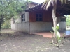 Foto 1 - Venta de Hermosa Quinta en Isla De Ometepe TK0184