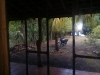 Foto 2 - Venta de Hermosa Quinta en Isla De Ometepe TK0184