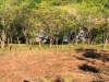 Foto 5 - Venta de hermoso terreno  en Juigalpa