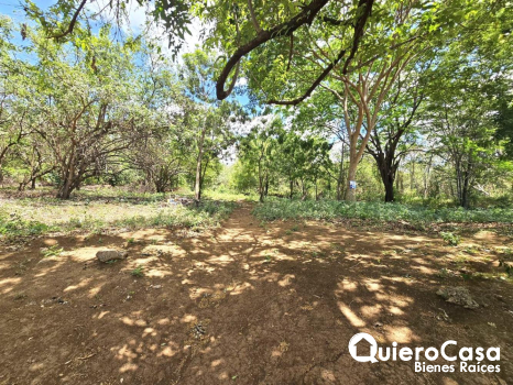 El terreno perfecto para tu nuevo hogar!