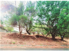Foto 2 - Precioso terreno en venta en Las colinas