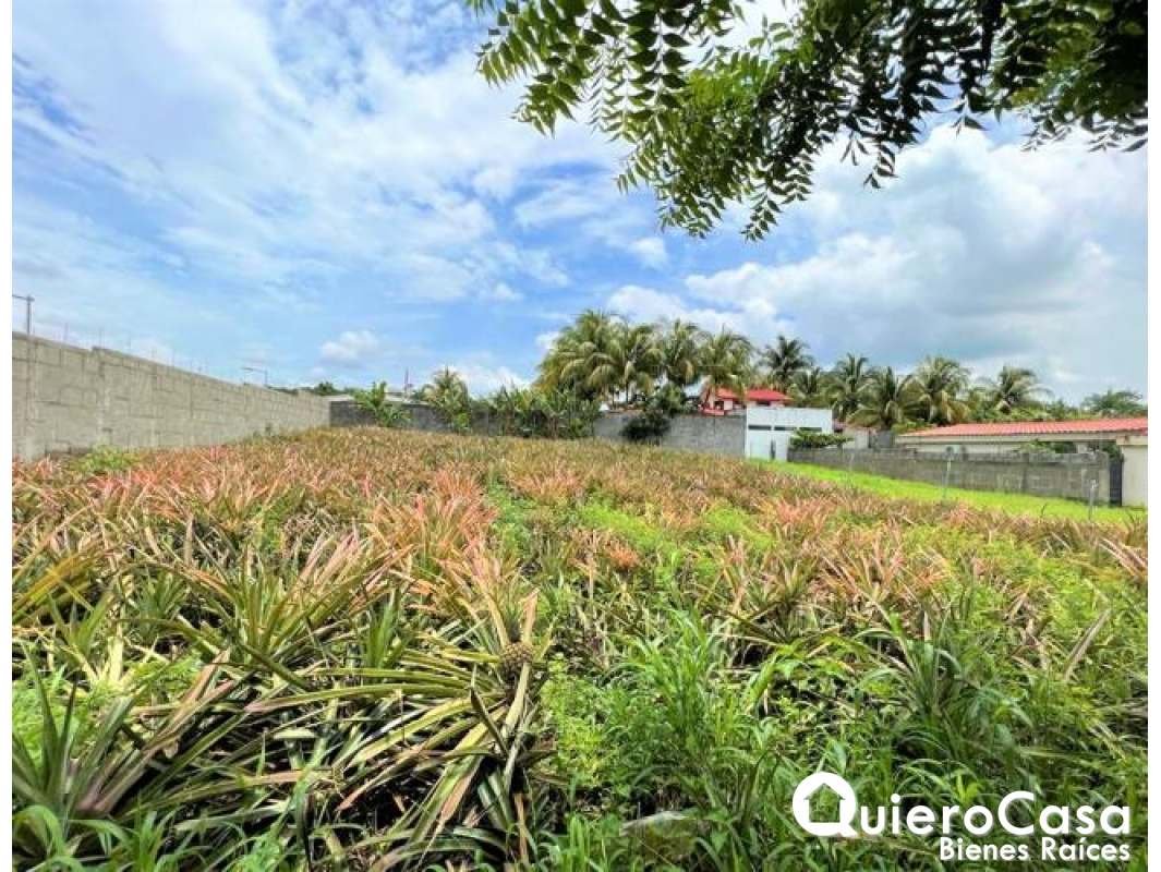 Hermoso terreno en venta en Veracruz