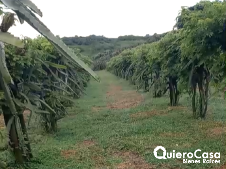 ¡En venta hermosa finca en Carretera Sur!