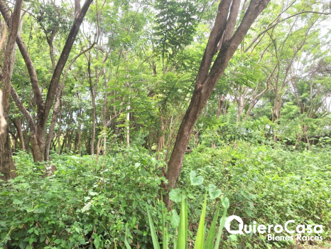 Terreno en Venta en Carretera a Masaya