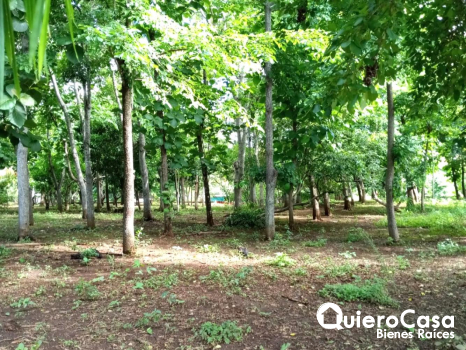 Amplio Terreno en Venta en Masaya