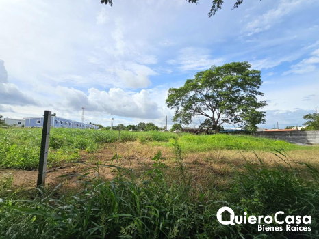 Terreno en Venta en Carretera a Masaya