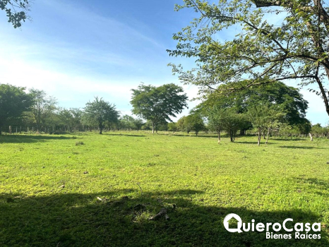 ¡Gran Oportunidad! Finca en Venta en San Francisco Libre