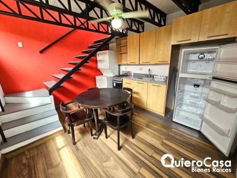 Apartamento Amueblado en Renta en Villa Fontana