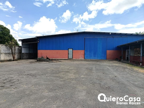 Bodega en Renta en la Zona del Mayoreo