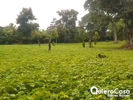 Hermoso Terreno en Venta en Sabana Grande