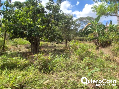 Terreno en Venta en Ticuantepe