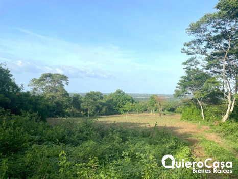 Terreno en Venta en Carretera a Masaya