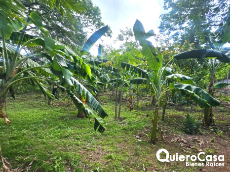 Terreno en Venta en Carretera Vieja a León