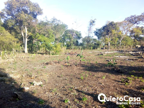 Terreno en Venta en Masatepe
